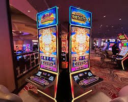 hellovip Betting Guide comparing sports interest with casino-style entertainment